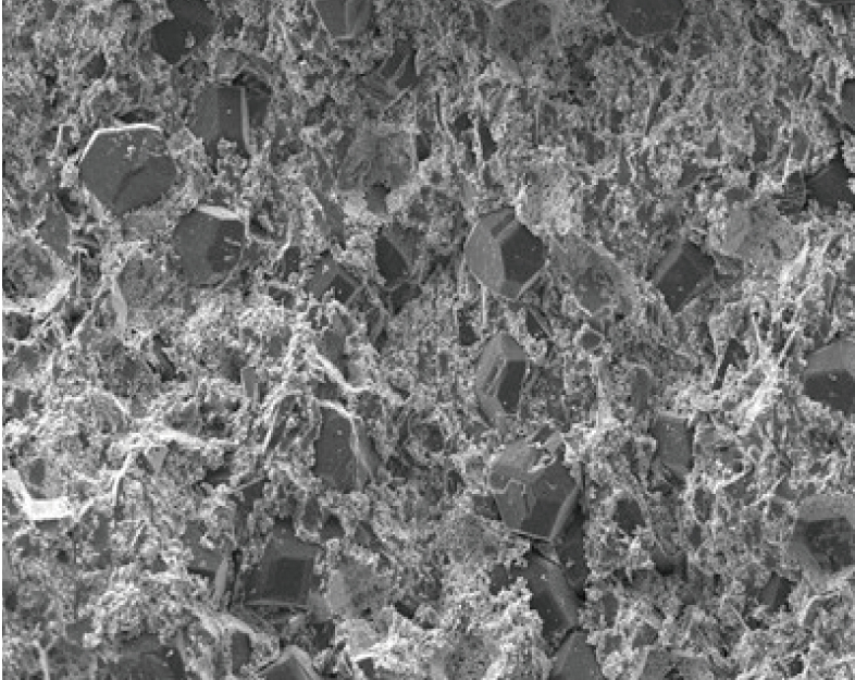 Further MNC hybrid micrograph.