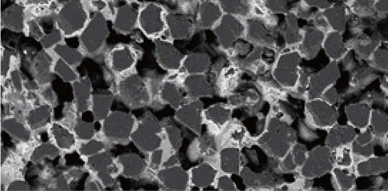CBN microstructure for the cage window case.