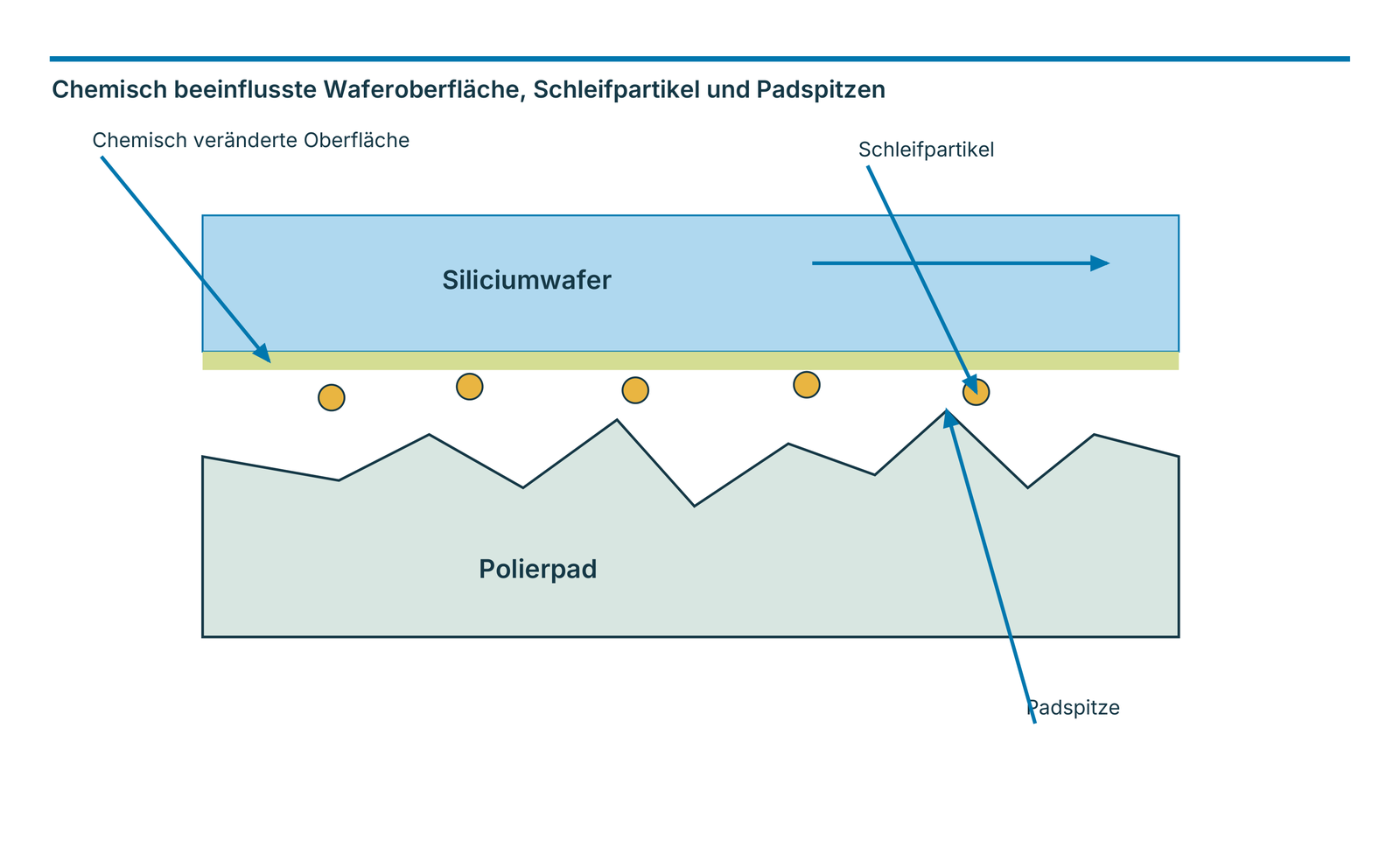 Chemisch beeinflusste Waferoberfläche, Schleifpartikel und Padspitzen