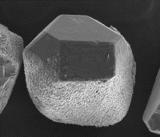 BSL-Konditionierer: Diamant- und Bindungsaufnahme.