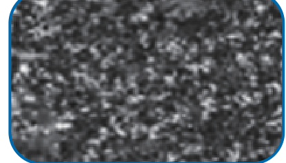 EB37X: Gefügebild ohne mitgelieferten Maßstabsbalken.