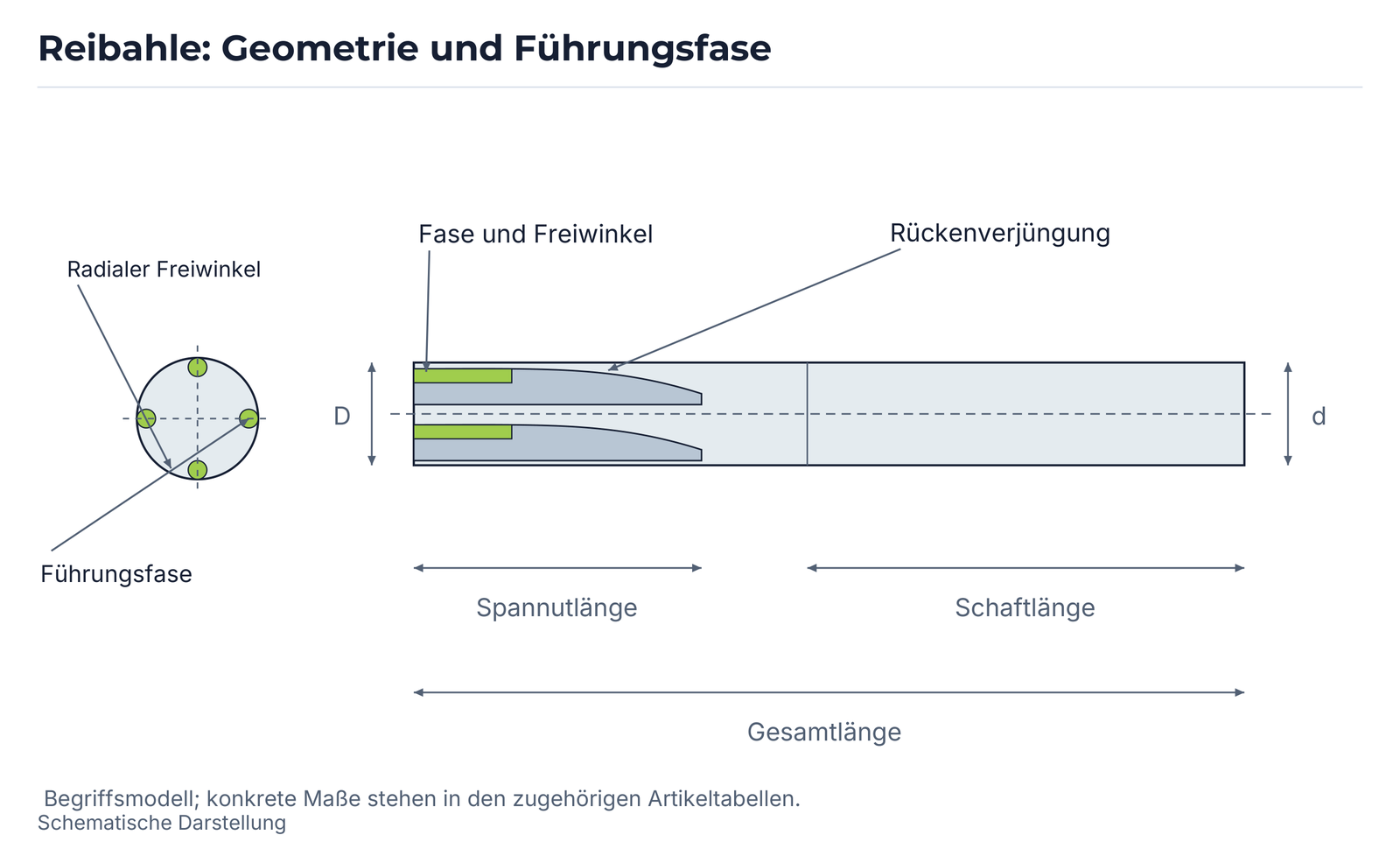 Reibahle: Geometrie und Führungsfase.