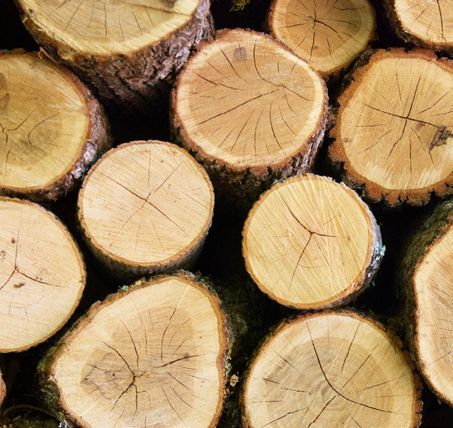 Spezialwerkzeuge für die Holzbearbeitung: Bauteil- und Bearbeitungsansicht.