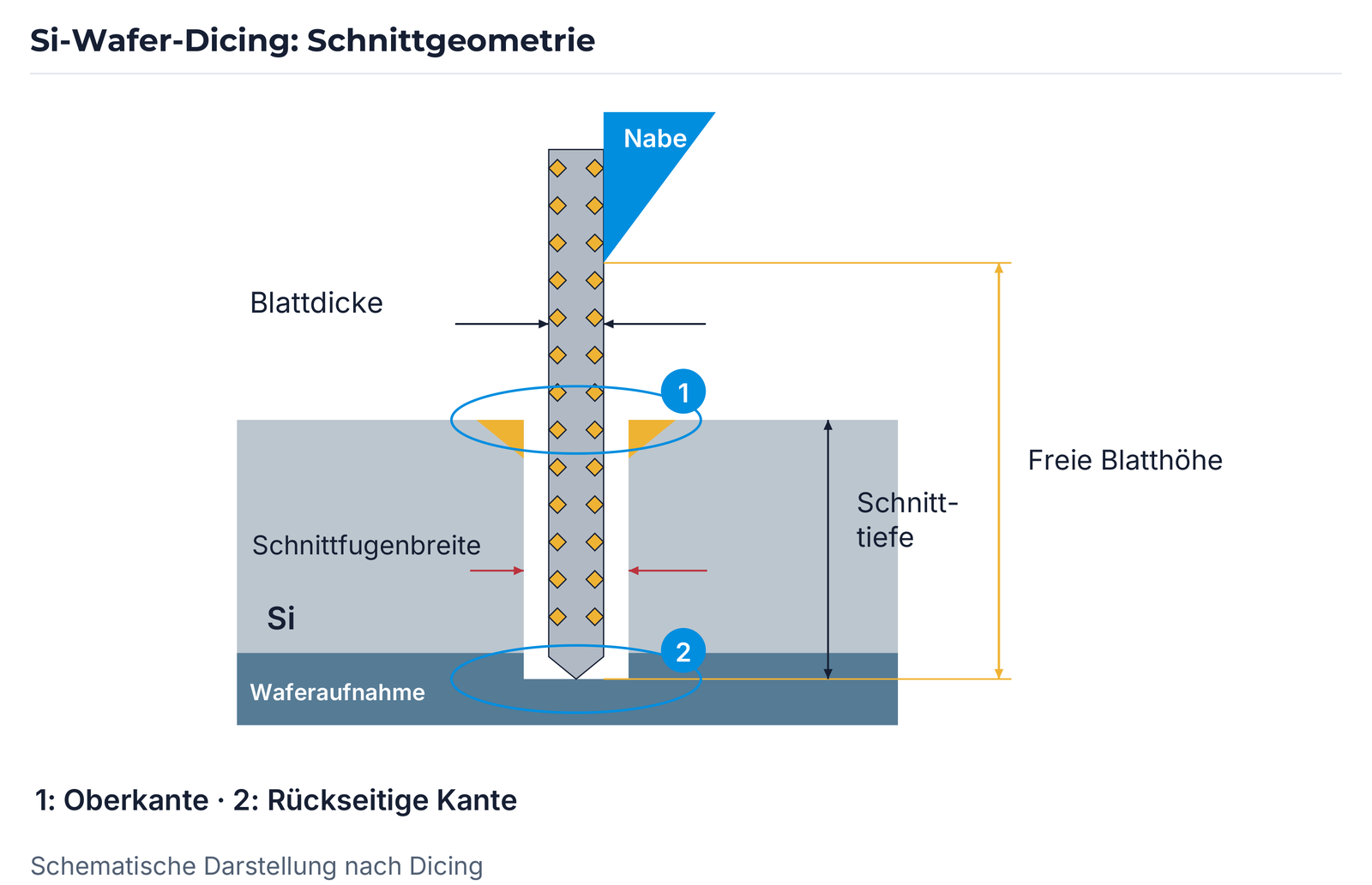 Schematische Schnittgeometrie mit Nabe, Blattdicke, Schnittfugenbreite, freier Blatthöhe, Schnitttiefe, Silizium und Aufnahme. 1 bezeichnet die Oberkante, 2 die rückseitige Kante.