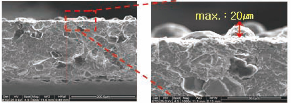 Konventionelle Blattoberfläche, Micro-Blade: maximal 20 µm. Originalmessung, Vergrößerung und Maßstäbe bleiben erhalten.