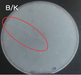Competitor wafer, source designation B/K.