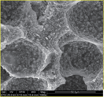 Polyurethane/cerium oxide: microstructure at 1000× with its source scale.