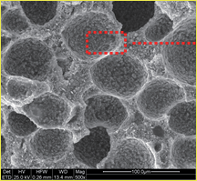 Polyurethane/cerium oxide: microstructure at 500× with its source scale.