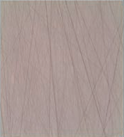 Surface after lapping: iron–resin, 50×.