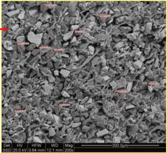 Microstructure of the hard polyurethane version with its source scale.