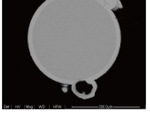 Diamond-wire cross-section with its source scale.