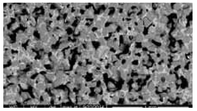 Pore structure of the vitrified-bonded wheel for the outer race.