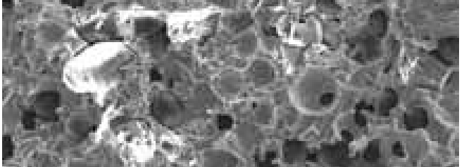 Porous hybrid bond: microstructure