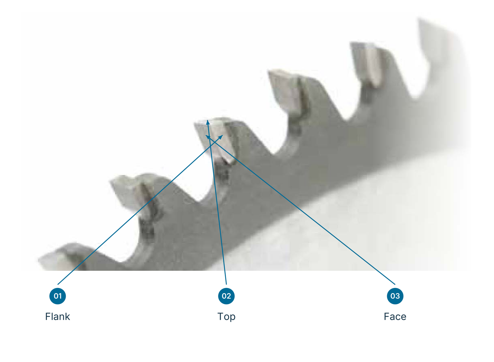 Saw tooth surfaces: 01 flank, 02 top, 03 face