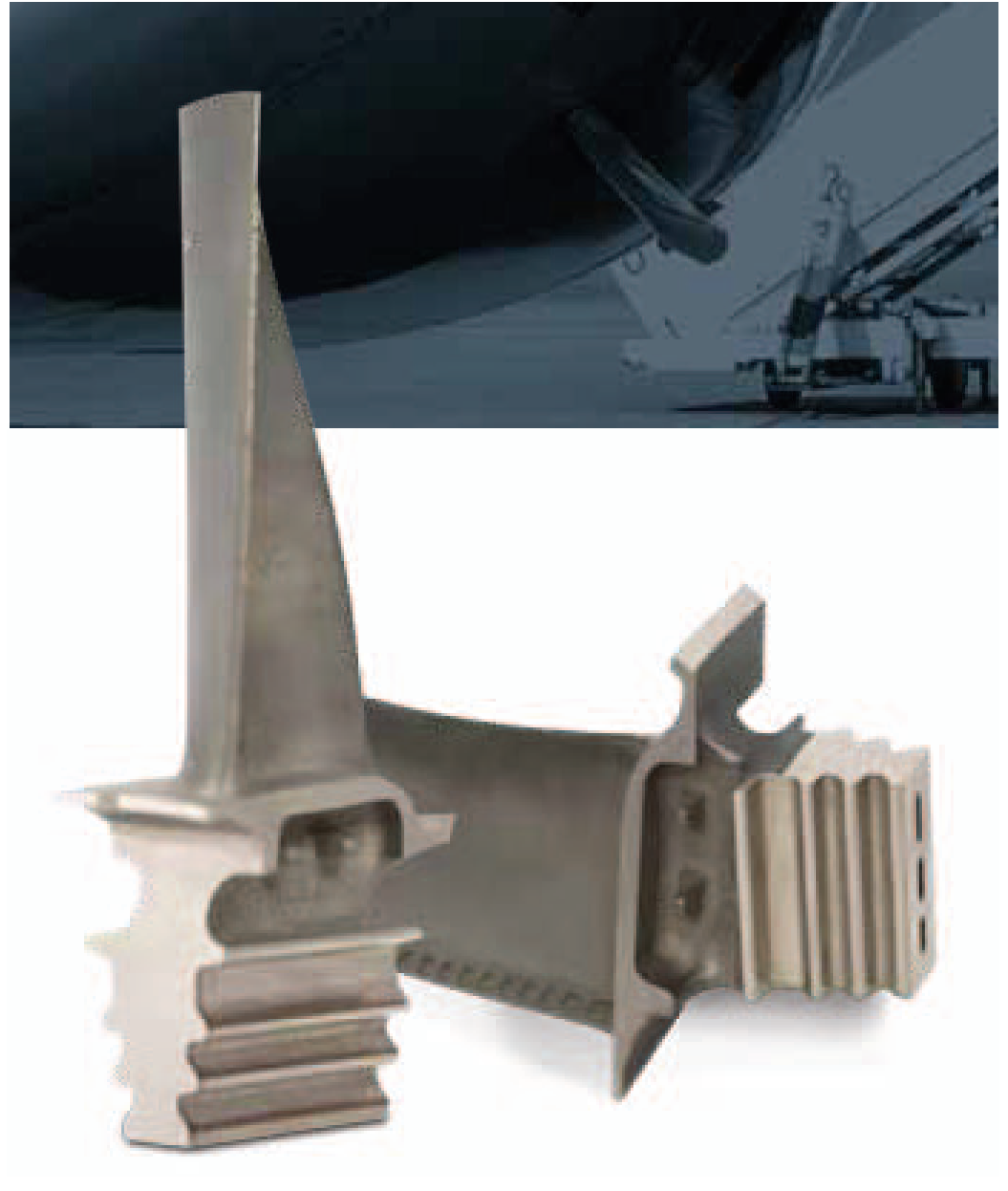 Turbine blades and profiled blade roots