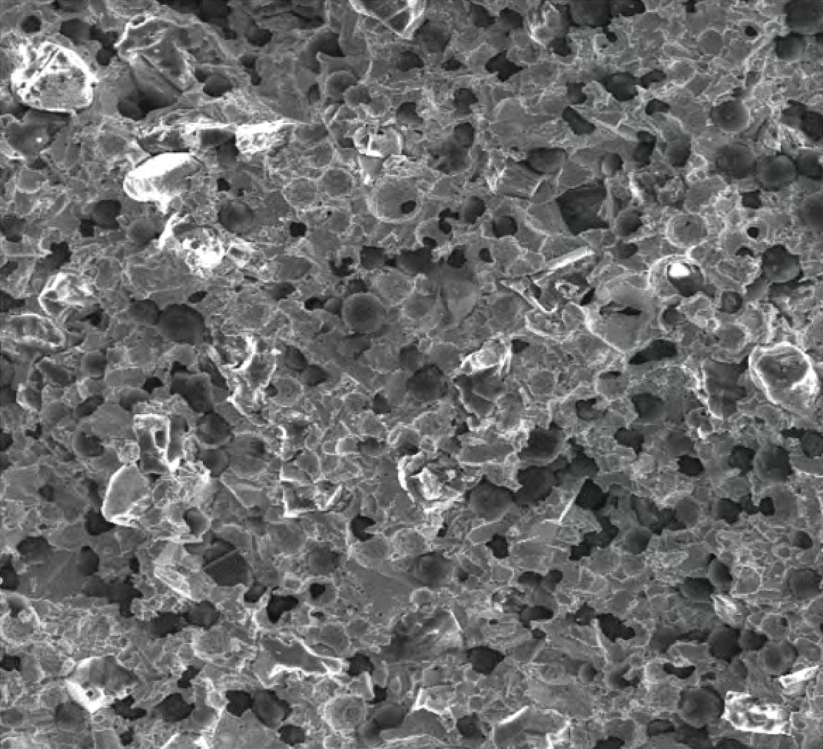 Porous hybrid bond: microstructure 1