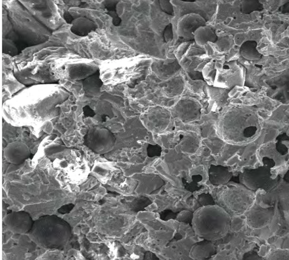 Porous hybrid bond: microstructure 2