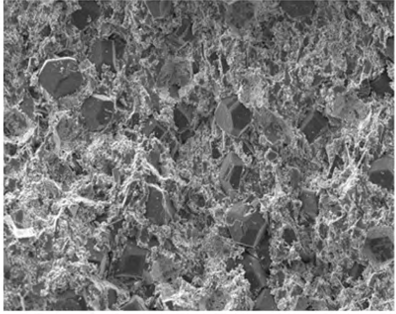 MNC-bond microstructure