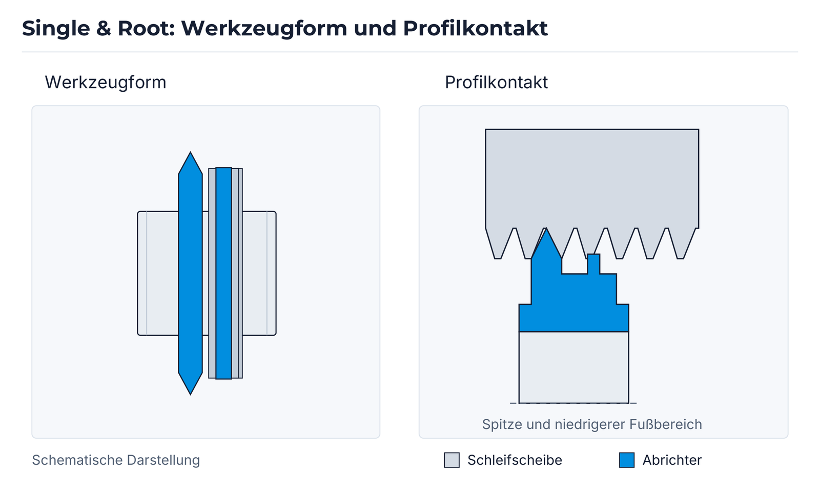 Single & Root: Profilkontakt