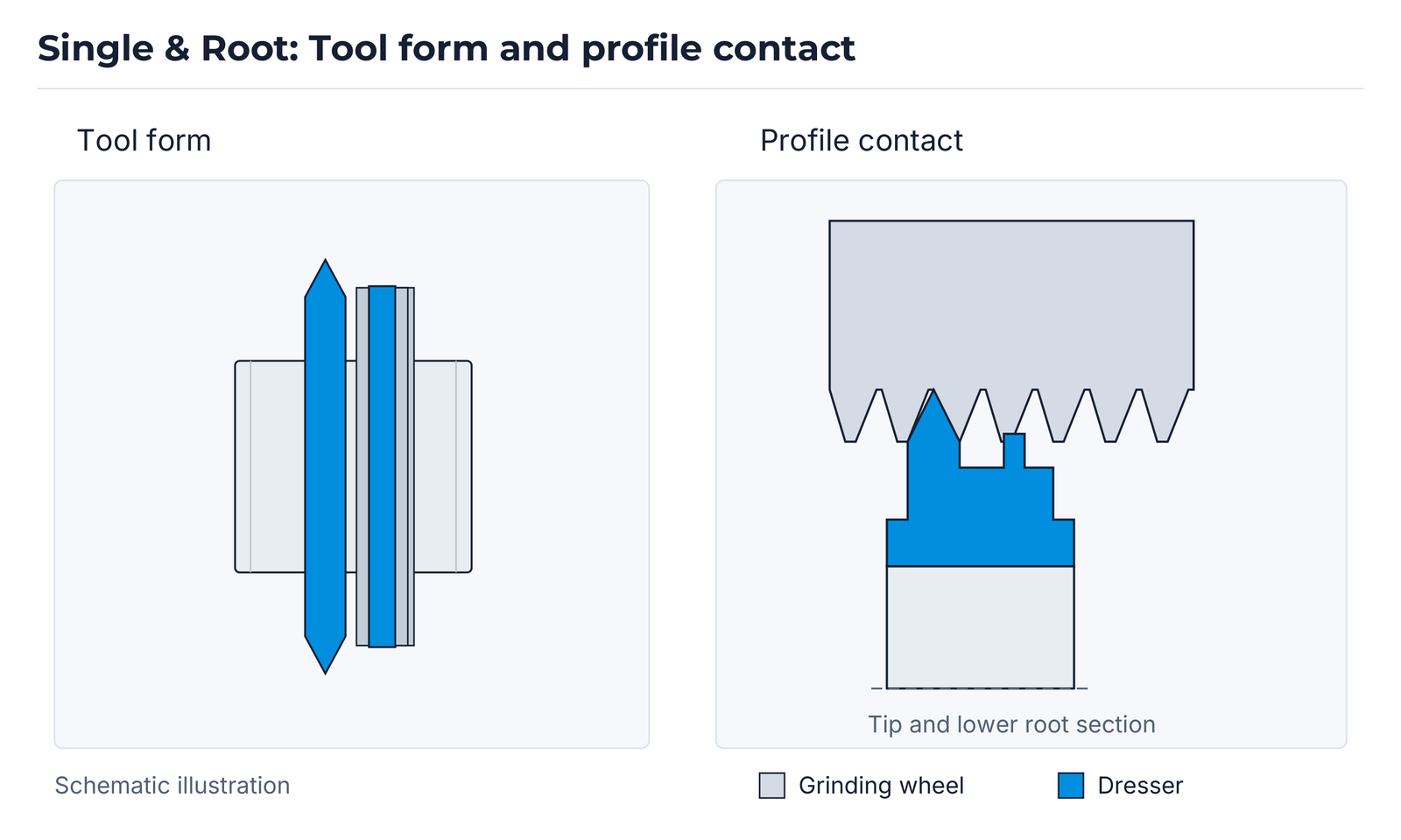 Single & Root: profile contact
