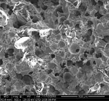 Porous hybrid structure with instrument information and scale retained.