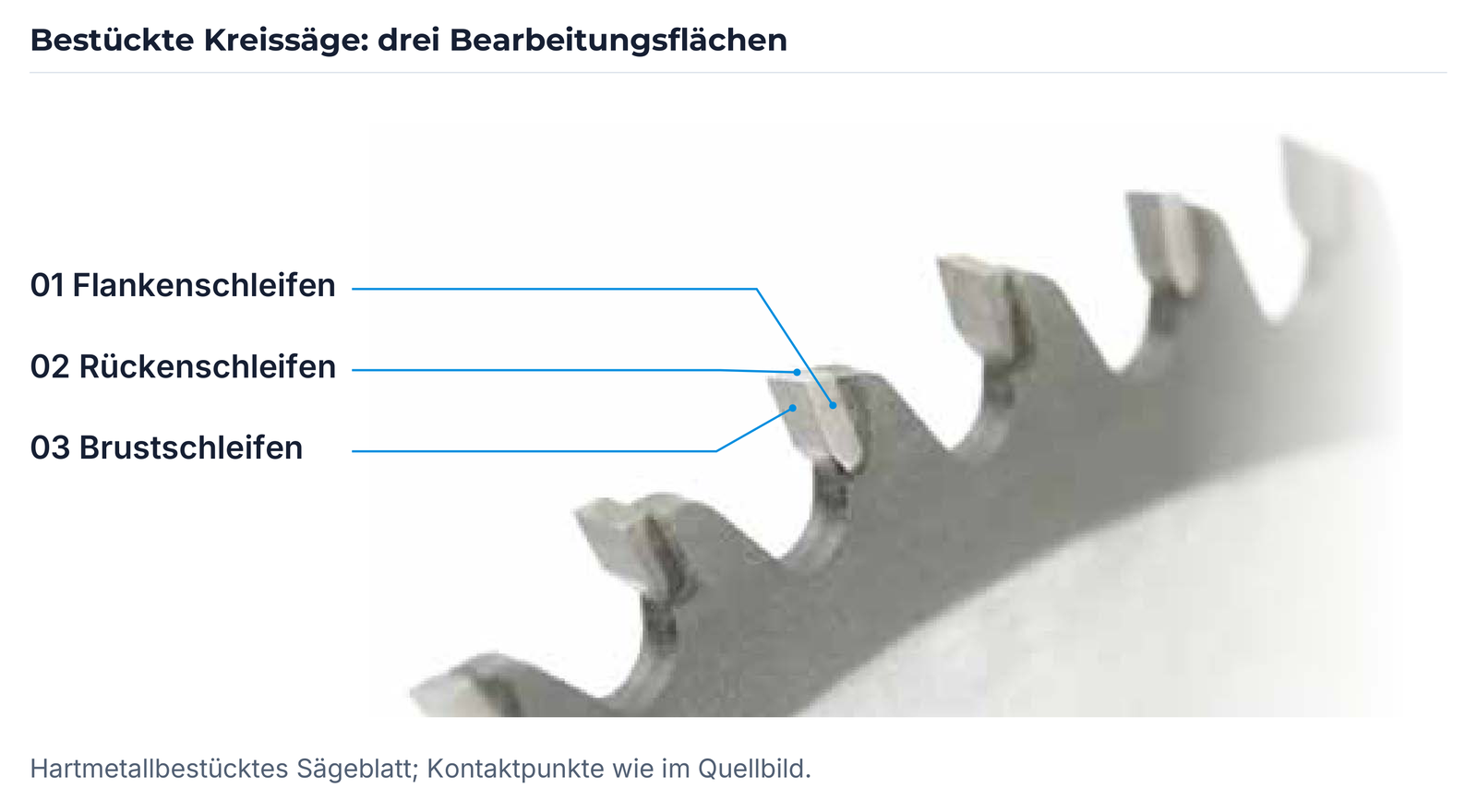 Flanken-, Rücken- und Brustbearbeitung am tatsächlichen Sägeblattbild.