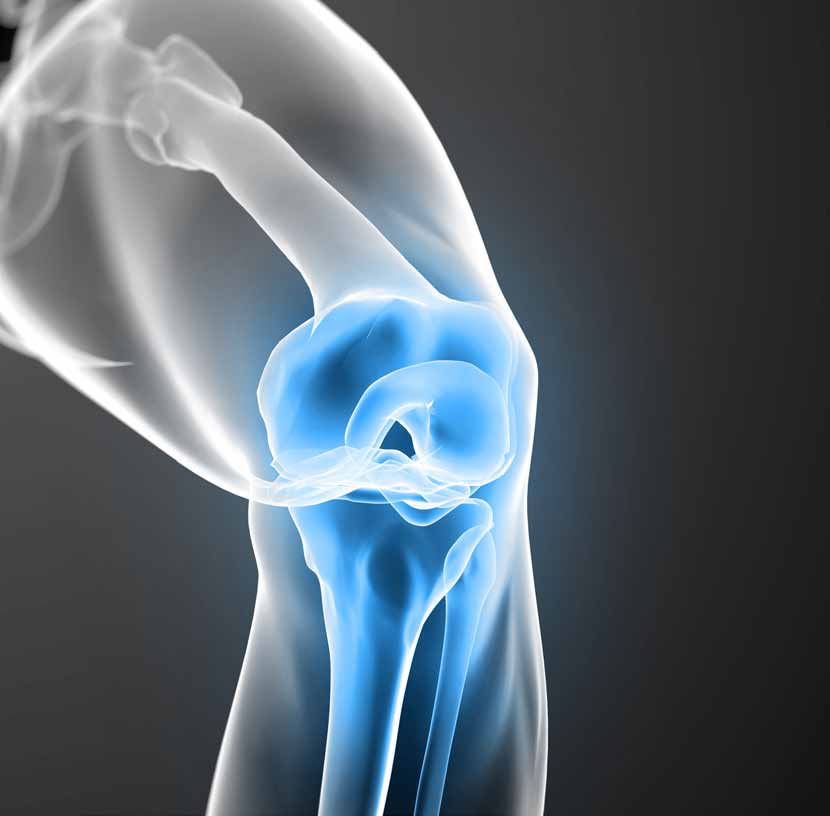 Knee joint: anatomical application illustration.