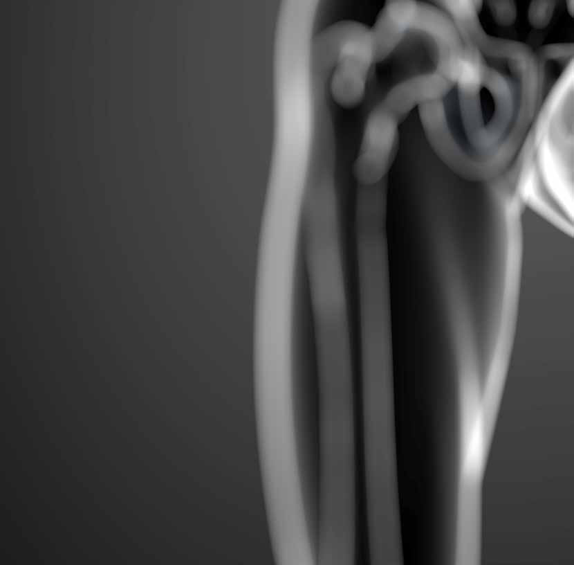 Hip and leg region: anatomical application illustration.