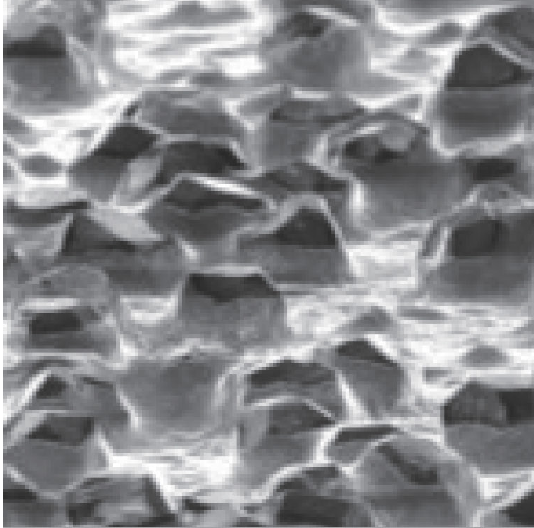 Microstructure of the lens-grinding wheel surface.