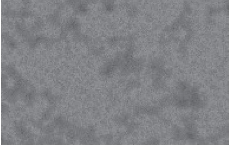 SEM microstructure: B bond.