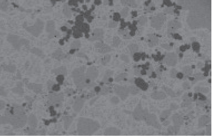SEM microstructure: C bond.
