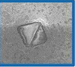 EHWA BSL disk after 60 h: second image without observed diamond loss.