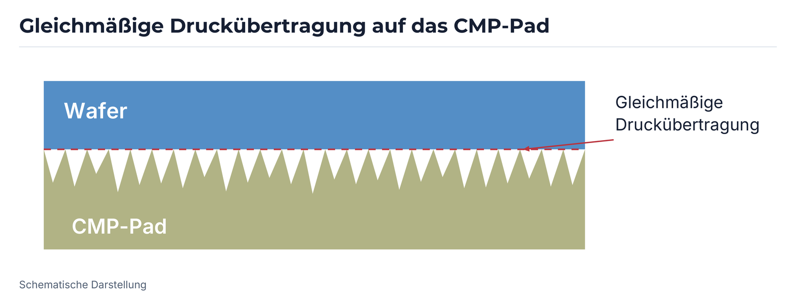 Schema einer gleichmäßigen Druckübertragung zwischen Wafer und CMP-Pad.