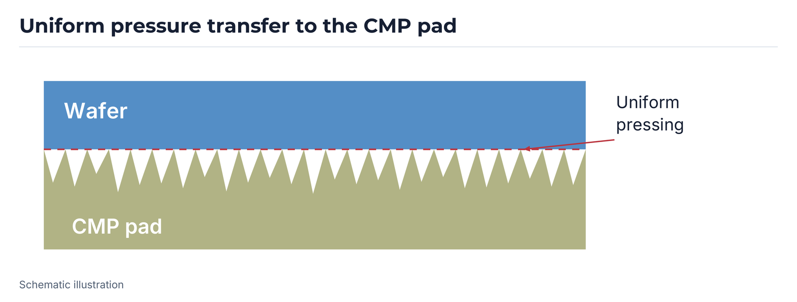 Uniform pressure-transfer schematic between wafer and CMP pad.