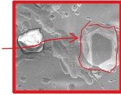 Electroplated disk after 20 h: first image with marked diamond loss.
