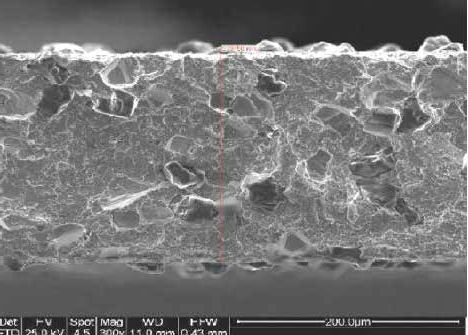 SEM image of the conventional blade side with instrument scale.
