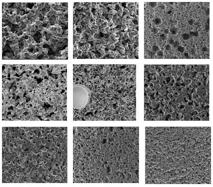 Microstructure images showing different pore structures.