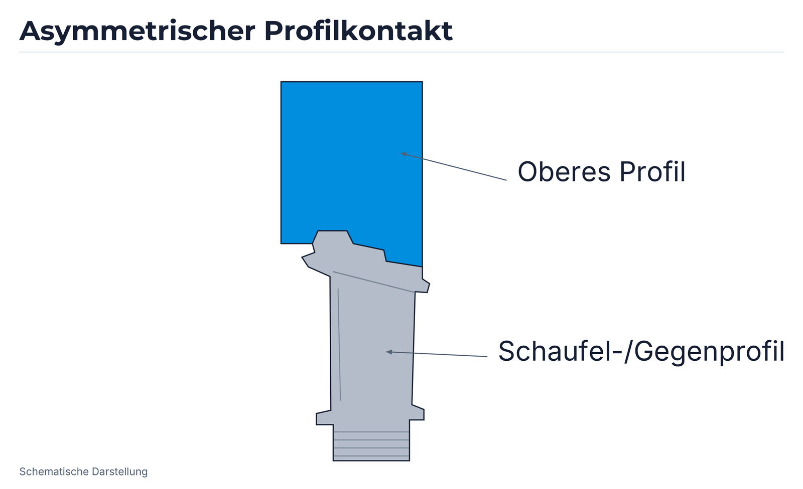 Profilkontakt 3: annähernd senkrechter Schaufelkörper mit schrägem, asymmetrischem oberen Kontaktbereich.