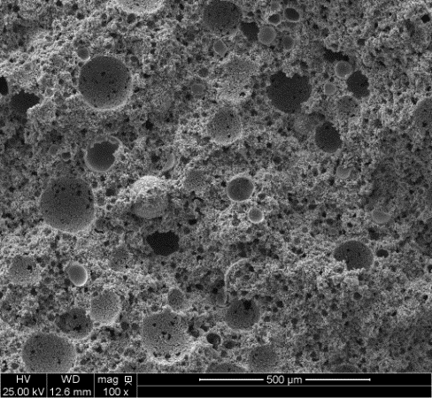SiC version #2000-VNP8-GC, micrograph with original scale.