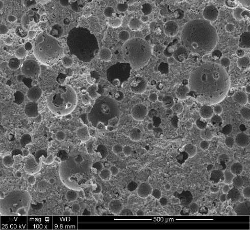 SiC version #8000M2-VNP-PSR, micrograph with original scale.