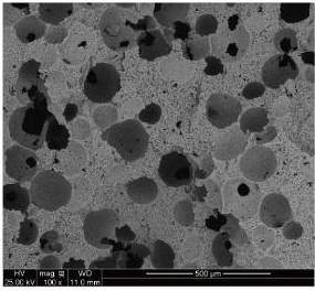 #5000 micrograph from Q233; original scale retained.