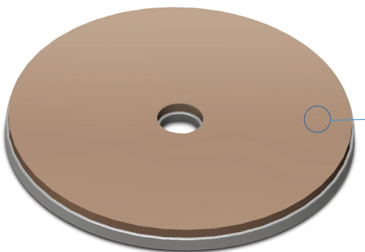 DP dry-polishing pad, front view.