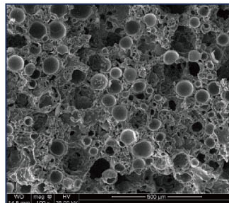 Z1 #600: combined-sheet micrograph.