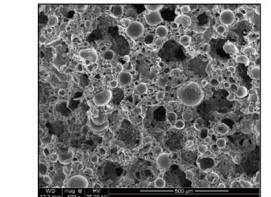 Z1 #800: combined-sheet micrograph.