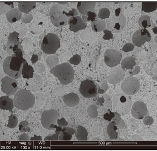 Z2 #5000: combined-sheet micrograph.