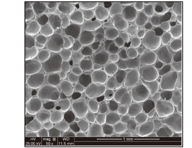 Z2 #8000M: combined-sheet micrograph.