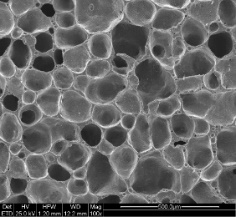 Structure of the #4000-VK8HS design, SEM ×100; original scale retained.