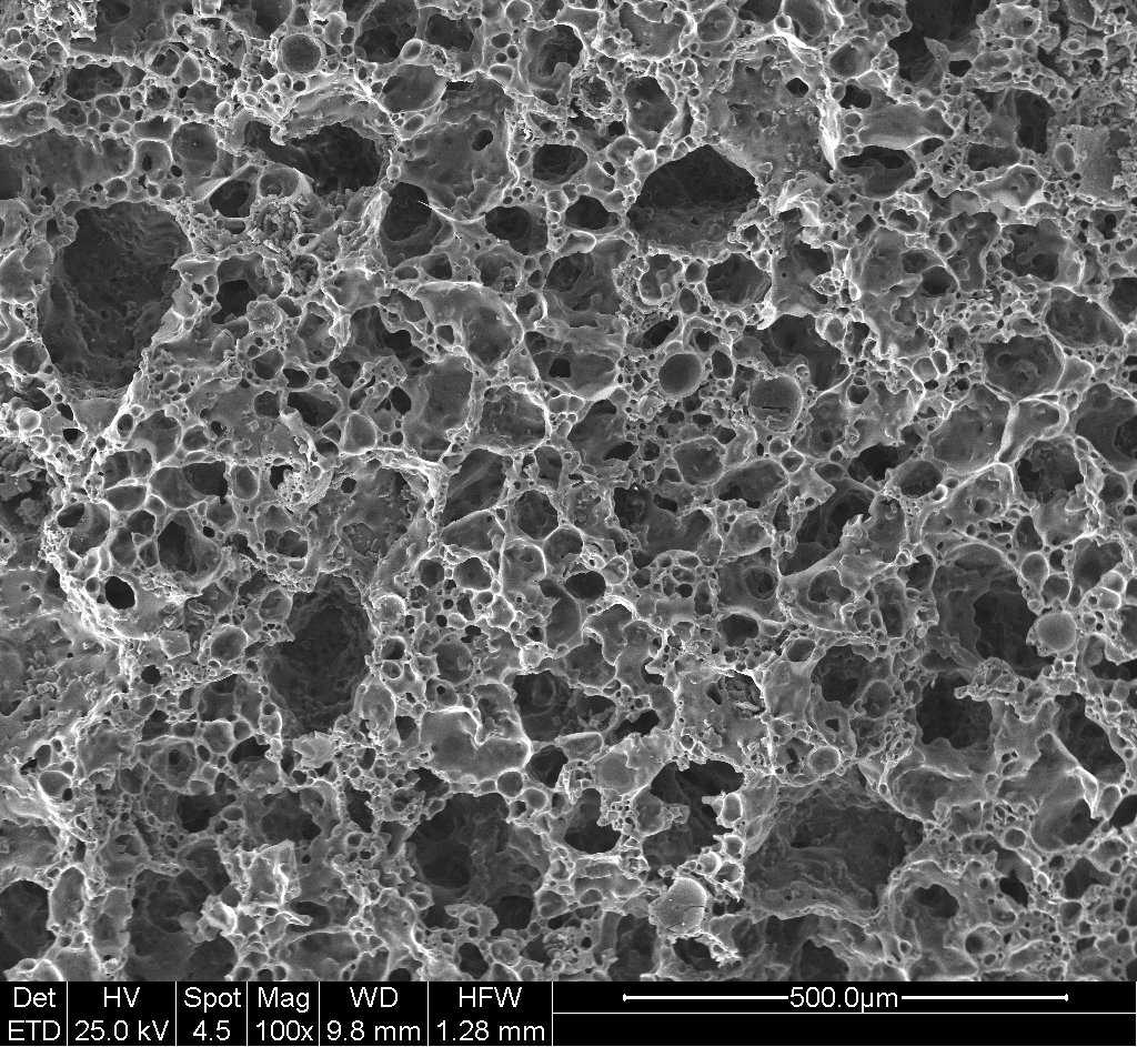 Structure of the #800-VSP3 design, SEM ×100; original scale retained.