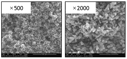 Structure of the #3000-VSPS10 design with both SEM images at ×500 and ×2000; both original scales retained.