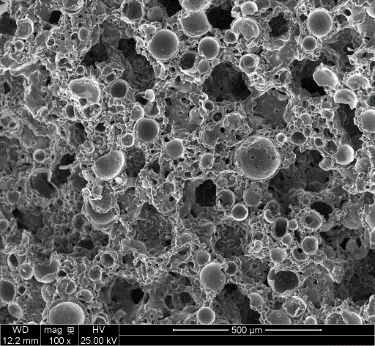 Structure of Z1 design NP-D4-303D3.0W10X-800-VSZT, SEM ×100; original scale retained.